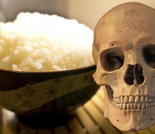 ¿Comer arroz frío podría ser letal? ¿Comer arroz frío podría ser letal?