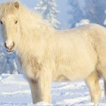 blanco, nombres de los colores