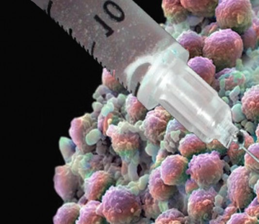 ¿La cura definitiva? La proteína que es capaz de revertir el proceso del cáncer