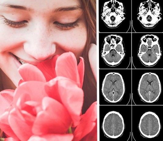 Tu cerebro cambia cuando sientes gratitud