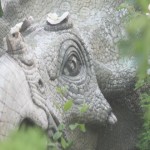 dinosaurios