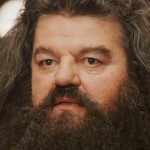 hagrid, test harry potter
