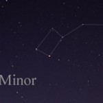 osa menor