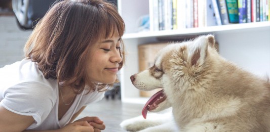 Este experimento demostró un gran beneficio de tener perro. Descúbrelo