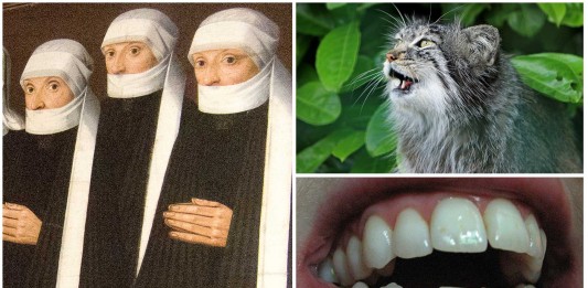 2 casos de histeria colectiva en conventos de monjas