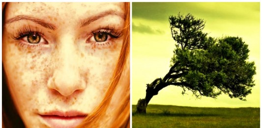 Y tú… ¿Está en tu carácter ser un «Wabi-Sabi»? Y tú... ¿Está en tu carácter ser un Wabi-Sabi?