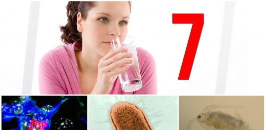 7 microorganismos que viven en el AGUA que bebes