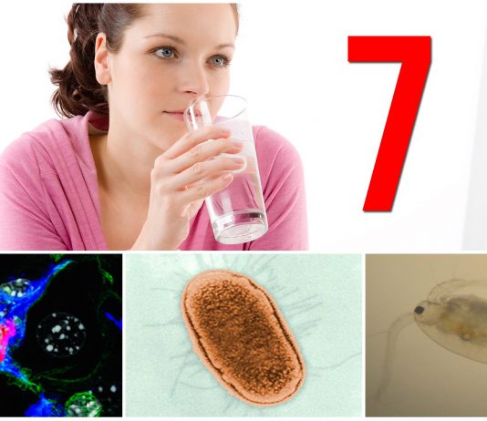 7 microorganismos que viven en el AGUA que bebes