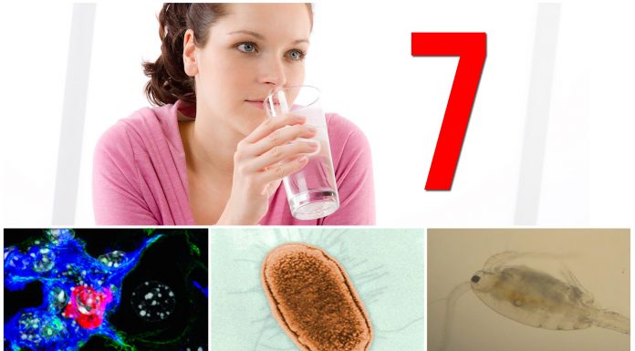 7 microorganismos que viven en el AGUA que bebes