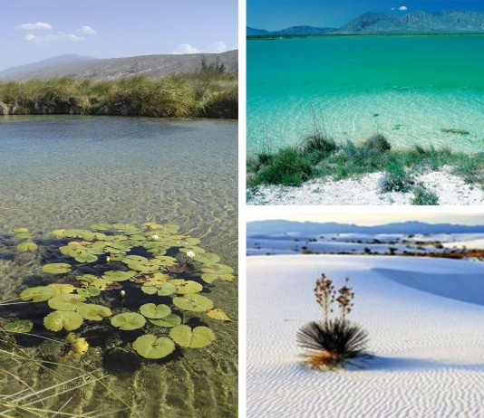 Cuatrociénegas, un oasis ÚNICO en el mundo Cuatrociénegas, un oasis único en el mundo