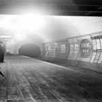 El misterioso mosquito que habita en los túneles del metro de Londres