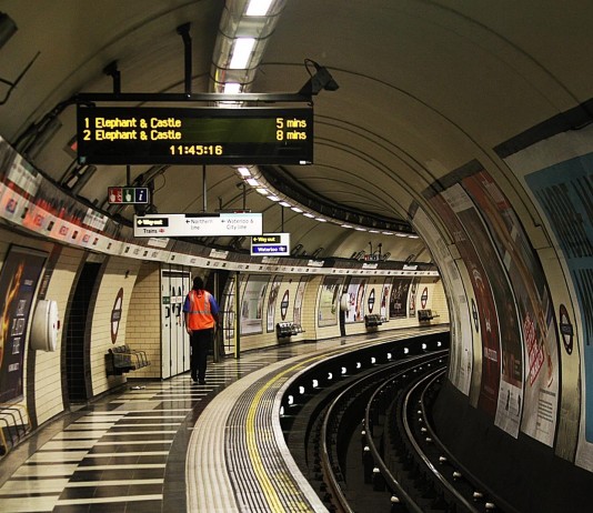 El misterioso mosquito que habita en los túneles del metro de Londres El misterioso mosquito que habita en los túneles del metro de Londres