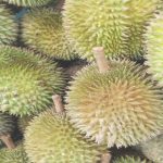 Kiwano y 8 frutas MUY raras