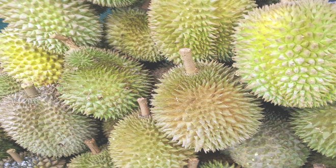Durian y 8 frutas MUY raras