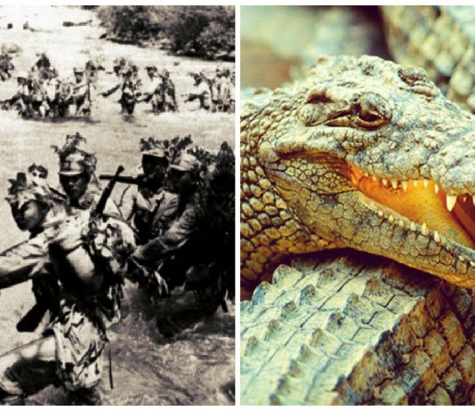 Island Ramree cuando los cocodrilos devoraron a casi 1.000 soldados