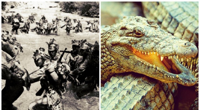 Island Ramree cuando los cocodrilos devoraron a casi 1.000 soldados