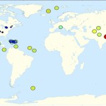 ¿Por qué hay tantos TERREMOTOS en el Pacífico?