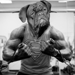 ¿Por qué los perros dan vueltas antes de estirarse?