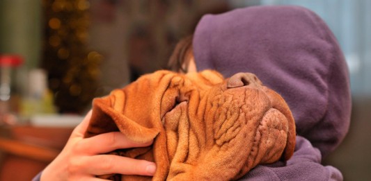 cuando todo vaya mal abraza a tu perro