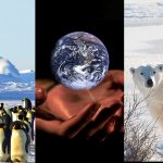 Polo Norte y Polo Sur: 7 diferencias que conocer