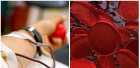 Donar sangre: ¿quién puede y quién no? Donar sangre: ¿quién puede y quién no?