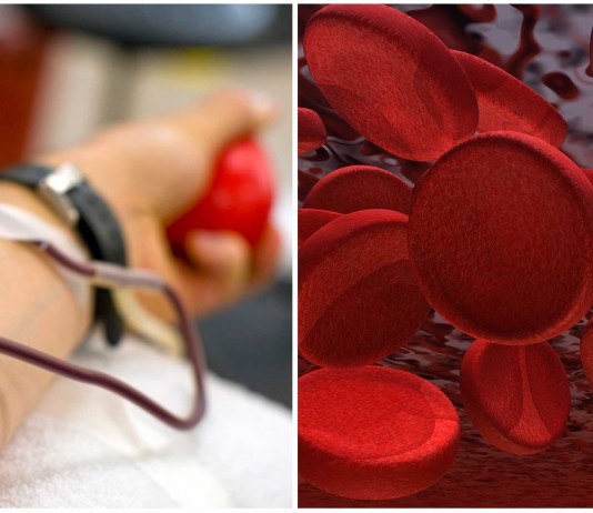 Donar sangre: ¿quién puede y quién no?