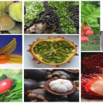 8 frutas MUY raras que ¿probarías?