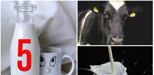 5 mitos sobre el consumo de leche