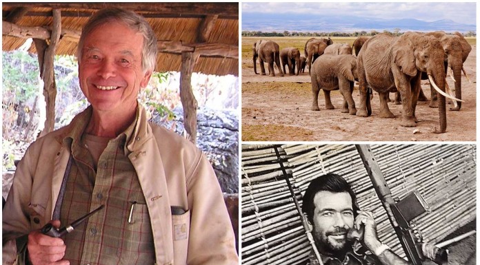 El hombre que mató 40.000 elefantes por equivocación
