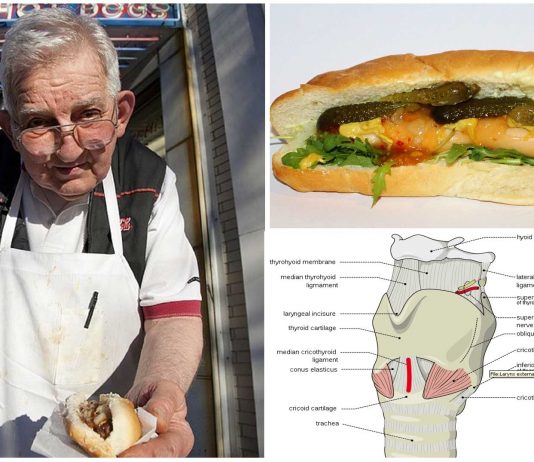 ¿Puede matar un «hot dog»? ¿Puede matar un "hot dog"?