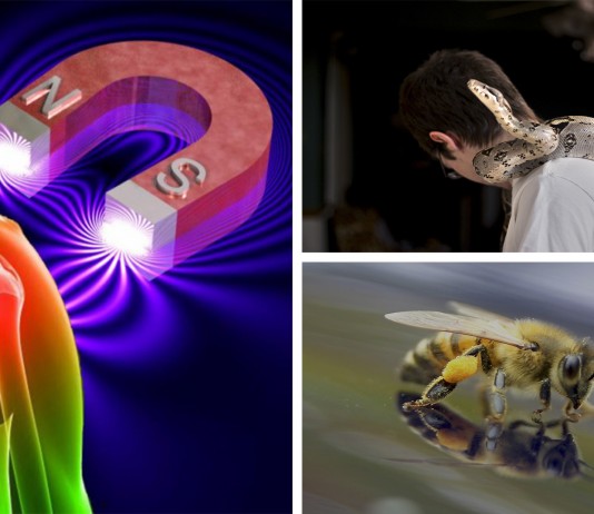 5 INCREÍBLES y curiosas terapias 5 extrañas y curiosas terapias
