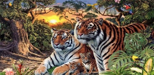 test visual tigres