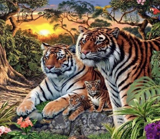 test visual tigres