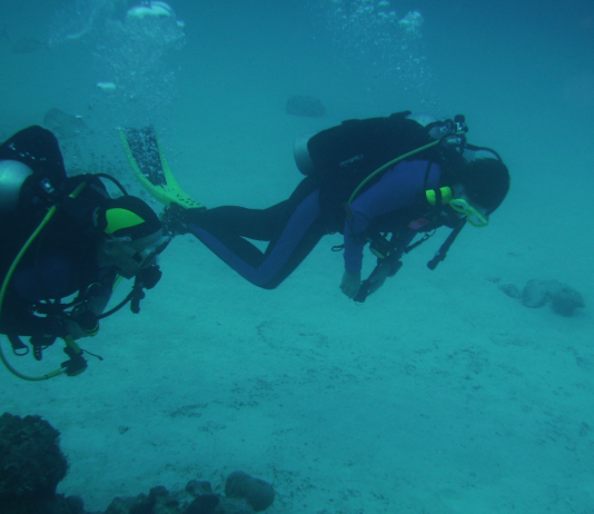 El camino de Bimini: ¿una carretera a la Atlántida?