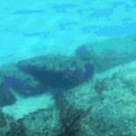 El camino de Bimini: ¿una carretera a la Atlántida?