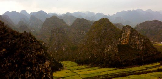 El bosque de las diez mil colinas