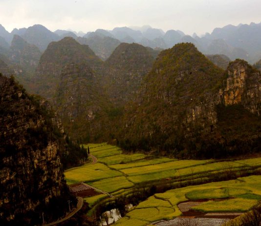 El bosque de las diez mil colinas