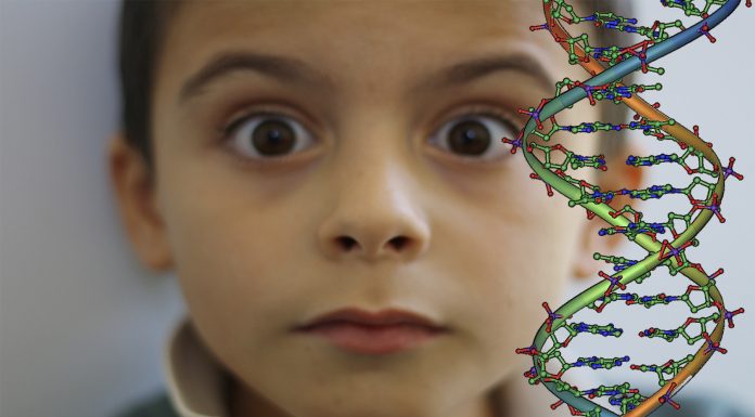 ¿Puede nuestro cuerpo contener ADN de otros humanos?