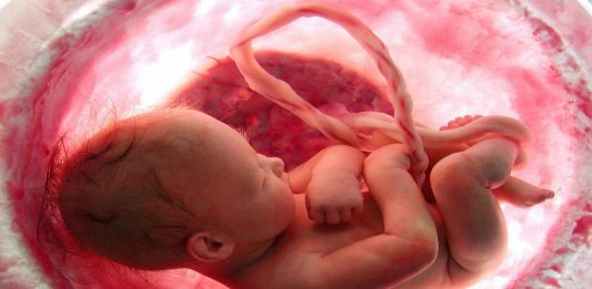 ¿Con qué sueñan los bebés que aún están en el vientre materno? Con qué sueñan los bebés que aún están en el vientre materno