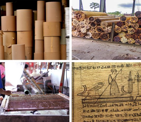 El papel ¿realmente sabes cómo se hace? El papel ¿realmente sabes cómo se hace?