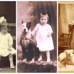 La curiosa historia de los Nanny Dogs