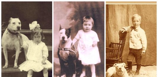 La curiosa historia de los «Nanny Dogs» La curiosa historia de los Nanny Dogs