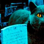 Novelas de Stephen King Cementerio de mascotas