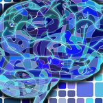 cerebro y memoria