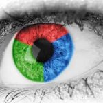 ¿Ven las mujeres más colores que los hombres?