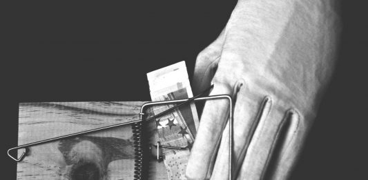 Los 4 criminales más tontos del mundo