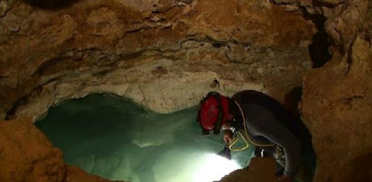 Encuentran una cueva aislada durante 5 millones de años ¡con habitantes increíbles!