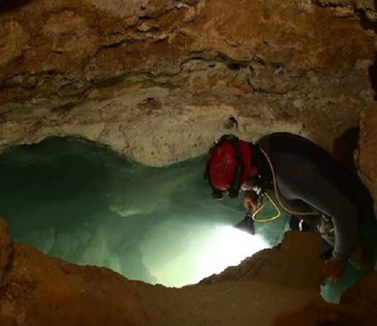 Una cueva aislada durante 5 millones de años ¡con habitantes increíbles! Encuentran una cueva aislada durante 5 millones de años ¡con habitantes increíbles!