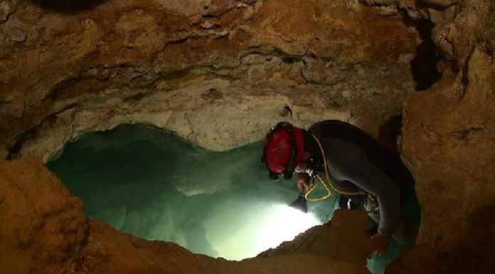 Encuentran una cueva aislada durante 5 millones de años ¡con habitantes increíbles!