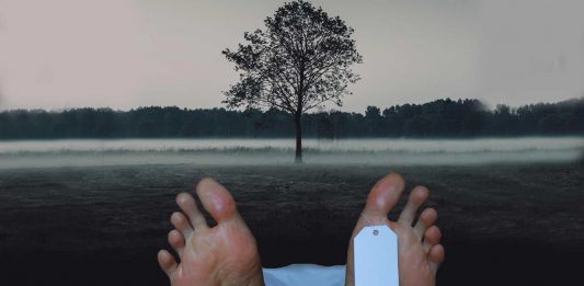 Cremación: 5 alternativas curiosas después de morir